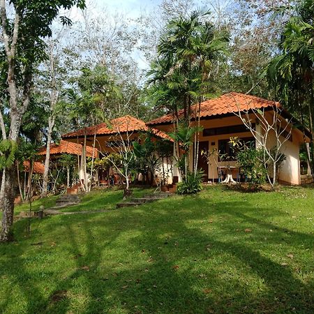 Koh Mook Rubber Tree Bungalows Ngoại thất bức ảnh