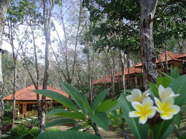 Koh Mook Rubber Tree Bungalows Ngoại thất bức ảnh